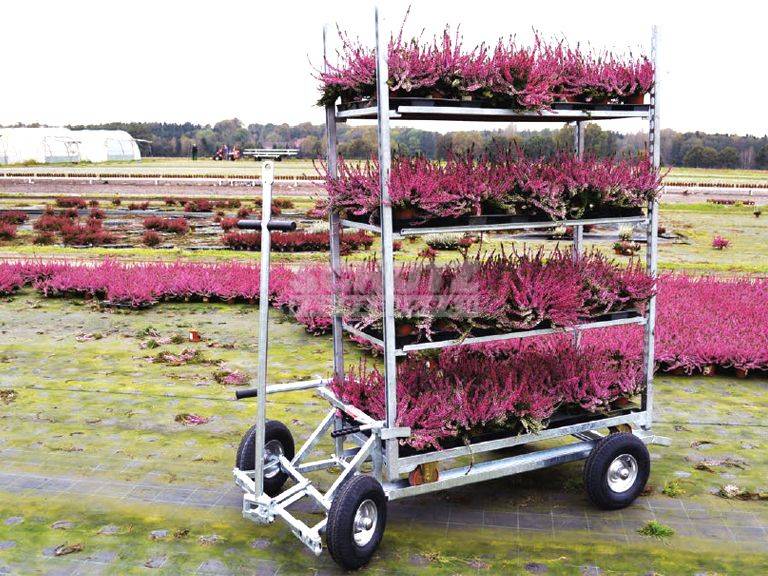 Schutz Gartenbau Transport Wagen Karre Transportwagen 1 CC Container Typ GB 60 cross