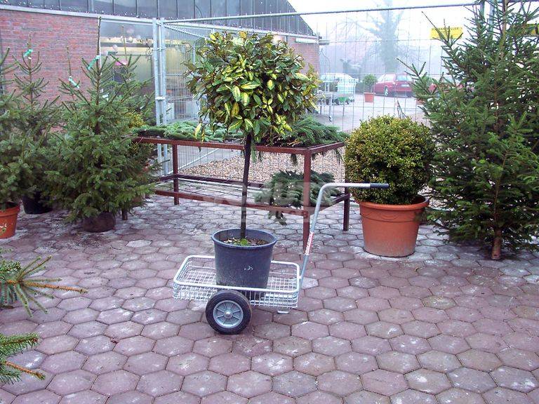 Handwagen Typ GB 17 G1 mit Vollgummirädern Artikel-Nr.: 6373 Handwagen Typ GB 17 G1 mit Vollgummirädern Artikel-Nr.: 6373